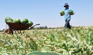 AGROECOSISTEMAS DEL PERÚ: UNA EXPERIENCIA QUE NUESTRAS AUTORIDADES DEBERÍAN VIVIR