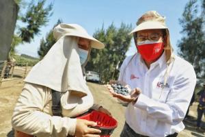 Agroexportación y turismo son motores de la economía