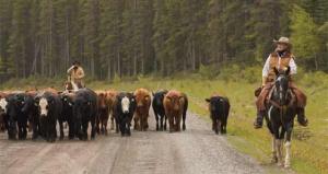 AGROEXPORTACIONES A CANADÁ CRECIERON 52% EN 2011