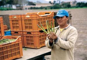 AGROINDUSTRIA DE LA LIBERTAD SE PREPARA PARA EXPOALIMENTARIA 2011