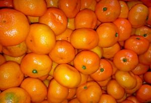 AL INICIO DE LA CAMPAÑA HAY MUCHA TENTACIÓN POR DEJAR MANDARINA EN EL MERCADO LOCAL