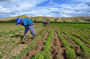 ALIANZA POR EL SUELO IMPLEMENTA  AMBICIOSO PLAN EN SUDAMÉRICA