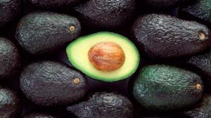 Alistan 2,000 nuevas hectáreas de palta Hass con una inversión de US$ 50 millones
