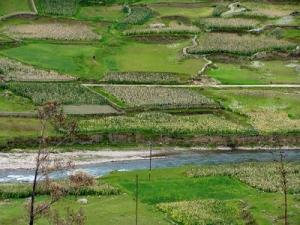 AMÉRICA LATINA Y EL CARIBE RECUPERARÁN PRODUCCIÓN AGRÍCOLA EN EL 2010 