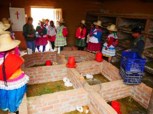 Áncash: productores usan macerado de hierbas aromáticas como bioplaguicida natural