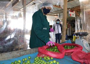 Aprueban “Plan anual de monitoreo de residuos químicos y otros contaminantes en alimentos agropecuarios primarios y piensos para el año 2021”