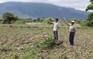 Aprueban Plan Estadístico Agrario Nacional 2022-2026 del Sistema Integrado de Estadística Agraria