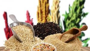 Apurímac será sede del “X Encuentro Nacional de Productores de Granos Andinos 2025”