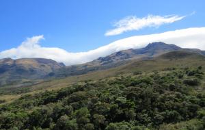 ÁREAS DE CONSERVACIÓN TENDRÁN ACOMPAÑAMIENTO DEL ESTADO