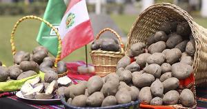 Arequipa: Estación Experimental Santa Rita del INIA estudia nueva variedad de papa