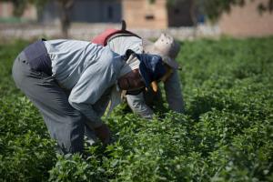 Asamblea Nacional Agraria del Bicentenario se realizará el 28 de julio