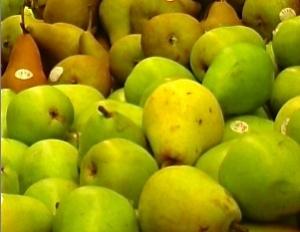 AUMENTAN LAS EXPORTACIONES DE PERAS Y MANZANAS DEL HEMISFERIO SUR 