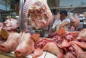 AUMENTAR UN KILO EN CONSUMO PER CÁPITA DE CARNE DE CERDO REQUIERE 140 MIL ANIMALES MÁS