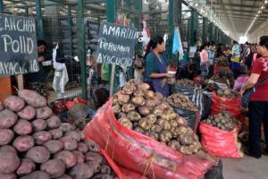 Aumentó en 30.1% ingreso de alimentos al mercado mayorista de Santa Anita el día de ayer