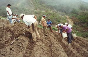 AYACUCHO: OBRAS DE RIEGO BENEFICIARÍAN A 100 MIL AGRICULTORES