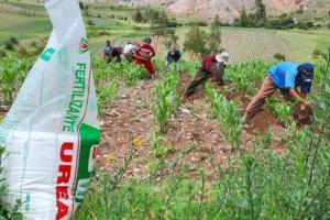 Ayer se inició pago de “FertiAbono” a productores de hasta 1 hectárea con dígito 1 en DNI