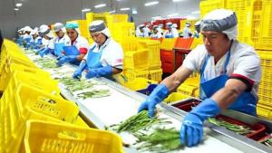 Balanza comercial agraria de Perú registró un superávit de US$1.669 millones entre enero y mayo de 2025, mostrando un aumento de 41.5%