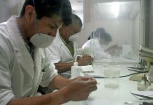 BANCO DE GERMOPLASMA PRESERVA BIODIVERSIDAD Y POTENCIA CULTIVOS DE PAPA