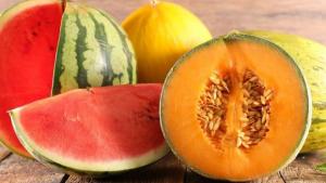 BASF apuesta por la industria del melón y la sandía