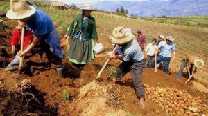 Beneficiados de bono rural de S/ 760 serán informados por mensaje de texto