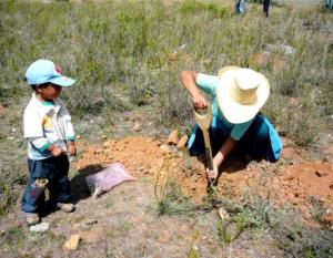 BENEFICIARIOS DE PROYECTO DE FORESTACIÓN Y REFORESTACIÓN RECIBEN CAPACITACIONES