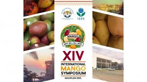 “Buscamos involucrar a estudiantes para tratar de despertar en ellos la pasión por el mango y sean los futuros investigadores”