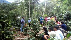 BUSCAN CONVIVENCIA ENTRE AGRICULTURA FAMILIAR Y CONSERVACIÓN DE BOSQUES 