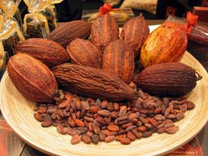 CACAO NATIVO DUPLICARÍA INGRESOS DE PEQUEÑOS PRODUCTORES