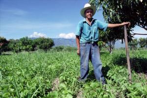 “Cada hombre y mujer del campo tiene a su cargo la alimentación de 15 compatriotas”