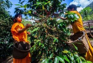 CAF plantea soluciones basadas en la naturaleza para el desarrollo de América Latina