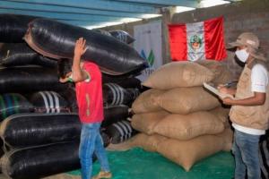 Café fino y orgánico de Ayacucho llegará a mercados de Europa y Norteamérica