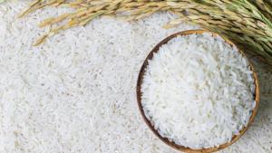 Caída global del arroz podría impactar a productores peruanos ante mayor ingreso de grano extranjero
