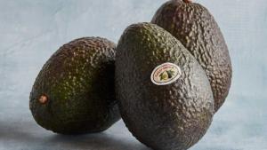 California incrementaría en 20% su producción de palta en la temporada 2023/2024 respecto a las estimaciones anteriores