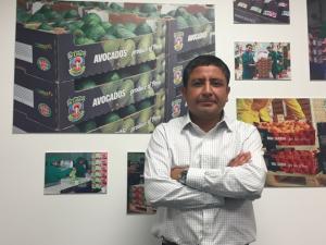 Camet Trading busca crear marca para su palta producida en la sierra