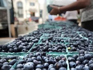 Campaña de exportación de arándanos de Perú cierra con un crecimiento del 30% en volumen y 9% en valor