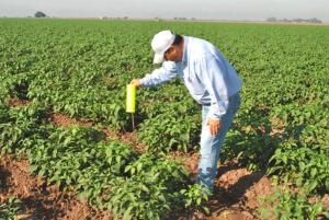 CAMPAÑA SANITARIA PARA AGRICULTORES BUSCA CONTRARRESTAR EFECTOS DE ‘EL NIÑO’