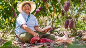 Canadá invierte 15 millones de dólares para impulsar el cacao sostenible del Perú