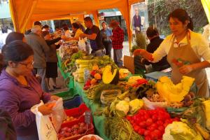 Capacitan a productores rurales para promover alimentación saludable en 20 regiones