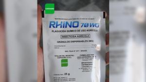 "CAPEAGRO Lanza RHINO 70 WG en Perú: Innovador Insecticida para Combatir la Plaga del 'Bicho del Cesto' en Cultivos de Palto"