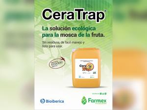 Cera Trap atrae hembras jóvenes de mosca de la fruta cortando su ciclo de desarrollo