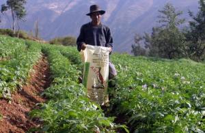 CHANCHAMAYO: INSTALAN CUATRO ALMACENES DE GUANO DE ISLA