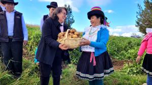 CITE Papa colabora en la producción del documental "Nuestra papa" de Latina TV