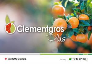 CLEMENTGROS AUMENTA PRODUCIÓN Y MEJORA CURVA DE CALIBRES EN PALTOS