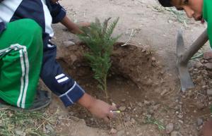 CLÍNICA DE PLANTAS LLEGARÁ A MOQUEGUA EL PRÓXIMO AÑO