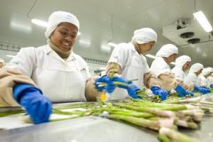 CNN SELECCIONA A DANPER PARA REPORTAJE SOBRE LOGÍSTICA DEL ESPÁRRAGO FRESCO PERUANO