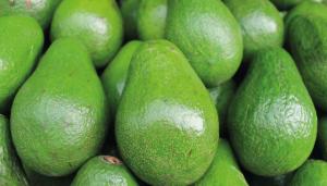 Colombia empezó su exportación de aguacate hacia Corea del Sur