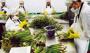 COMEX: “DISPAROS AL SECTOR AGROEXPORTADOR”