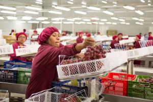 Comex Perú: “Sector agropecuario resulta clave para el desarrollo integral del país”