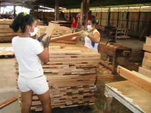 COMEX: Titulación de tierras, concesiones y financiamiento son básicos para impulsar la Mesa Forestal