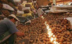 Comisión Agraria del Congreso consideró  inaceptable que importación de papa siga en aumento